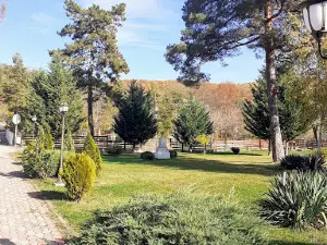 Izvorul nr. 6 Sarata Monteoru
