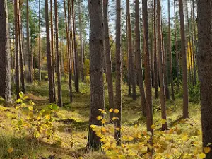 Luokavos Piliakalnis