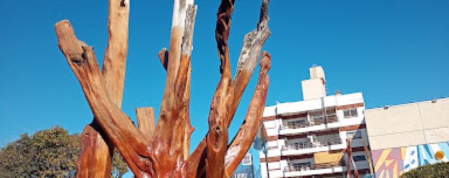Plaza San Martin