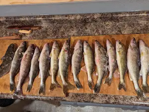 Up North Fish House Rental