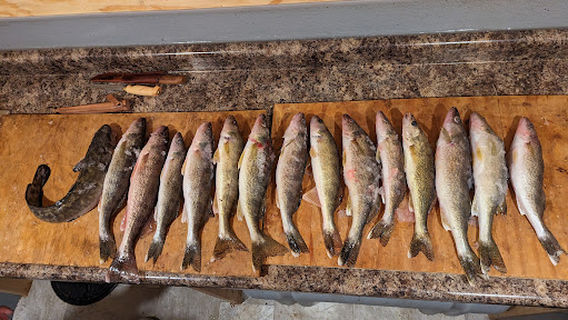 Up North Fish House Rental