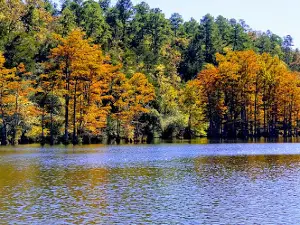 Beavers Bend Fly Fishing Guide Service®