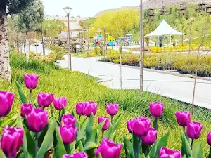 Sincan Municipality Park Greenhouse
