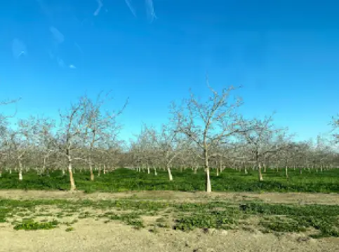 Delevan National Wildlife Refuge
