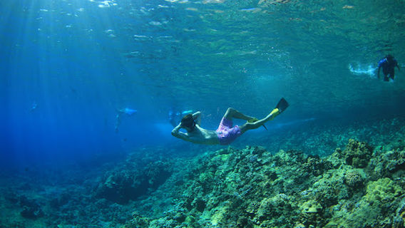 Aqua Adventures