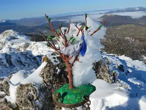 Monte Yoar