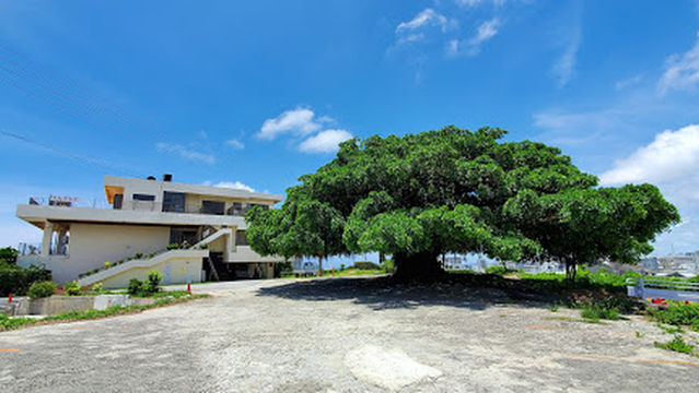 Ameku Family Sports Land