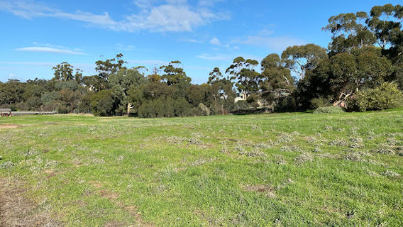 Kapunda