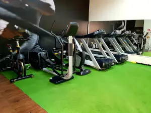 Mfit Teodoro Sampaio