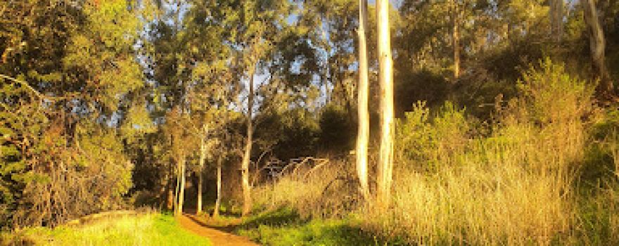 Beaumont Link Walking Trail