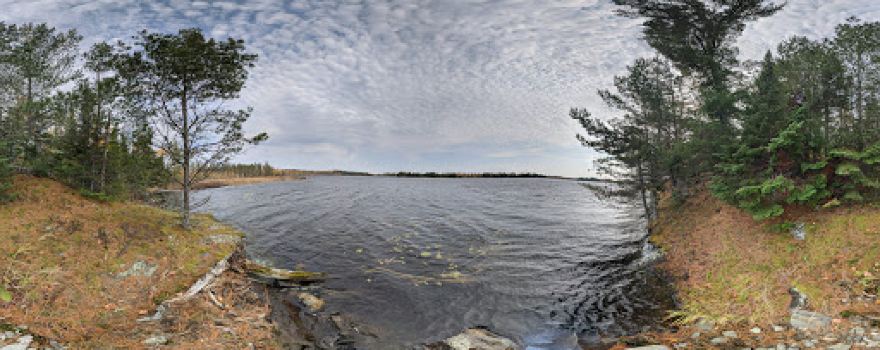 Susan Lake