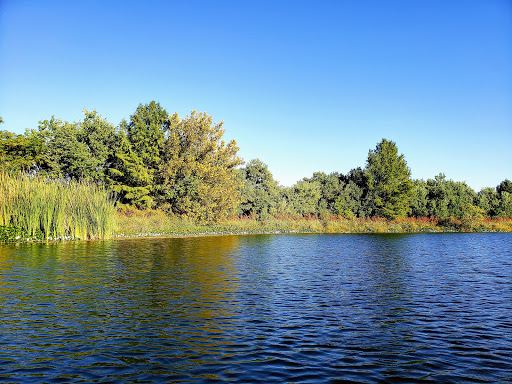 Lake Lyndon B. Johnson