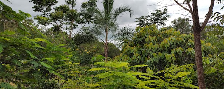 Reserva Palhares