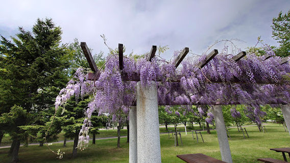 Nakajima Park