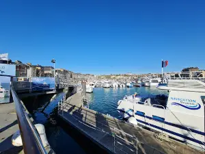 Billetterie Navigation Normande - Dieppe, Promenade et pêche en mer