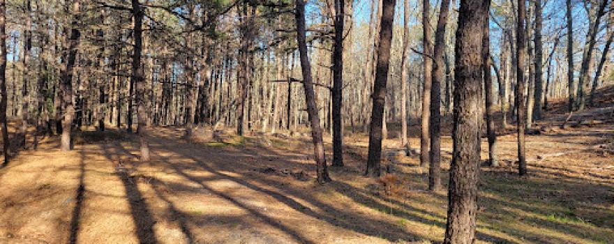 Long Island State Pine Barrens Preserve