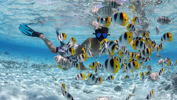 Bora Bora Adventures ATV / QUADS Tours