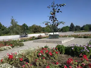 Pam'yatnyk Pomidoram