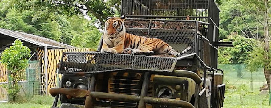 AFamosa Animal World Safari