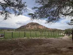 Parque - Rua Da Paz