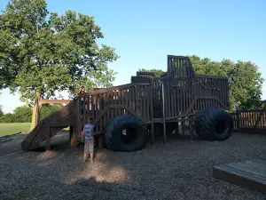 Wooden Wonderland