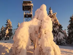 Mistberget Observation Tower