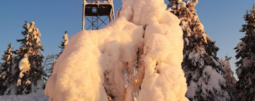 Mistberget Observation Tower