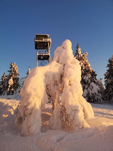 Mistberget Observation Tower