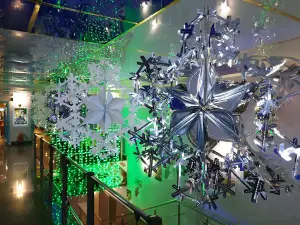 Cinema Art Hall