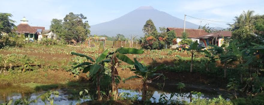 Color Kampung Bobotsari
