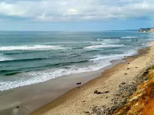 Sarıkum Plajı