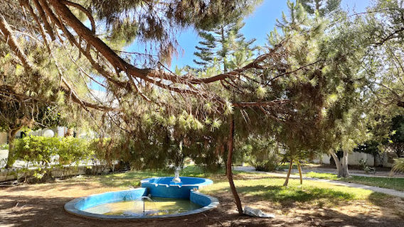 Camping les Jasmins