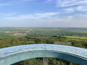 Réserve naturelle régionale de la côte de Delme