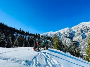 Nuristan Forest National Reserve