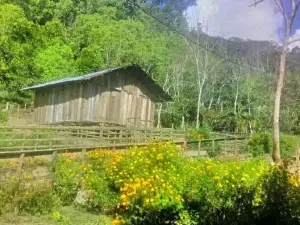 Taman Kota Ransiki