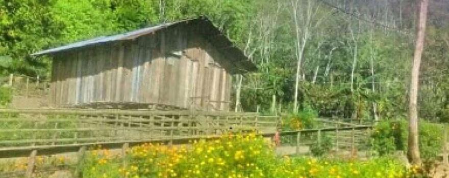 Taman Kota Ransiki