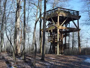 Tobico Marsh & Frank N. Andersen Nature Trail