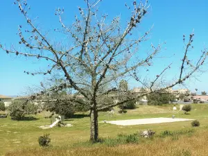 Barkin Park