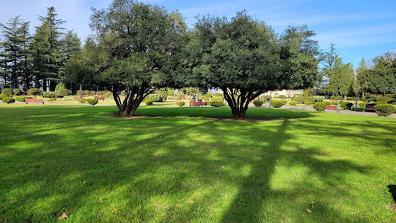 Botanical Garden Lake