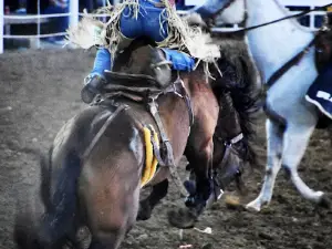 Will Rogers Rodeo Arena