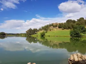 Eğlence Stream