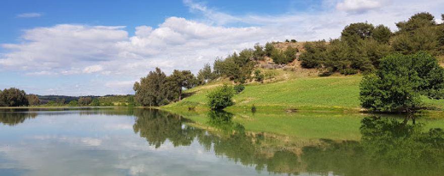 Eğlence Stream