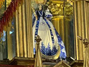 El cisne