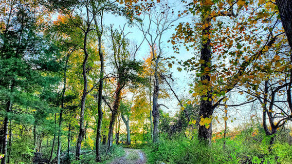 Moose Hill Farm Reservation