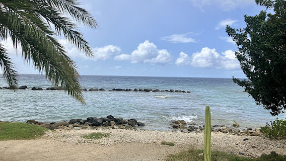 Nautilus Diving & Snorkeling Tours Aruba