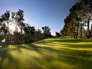 Shepparton Golf Club