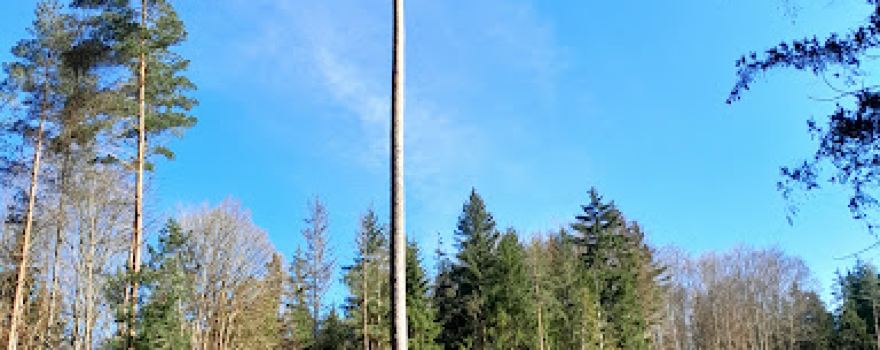 Großer Lochstein