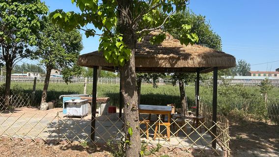 zhou yuan lu ying ji di