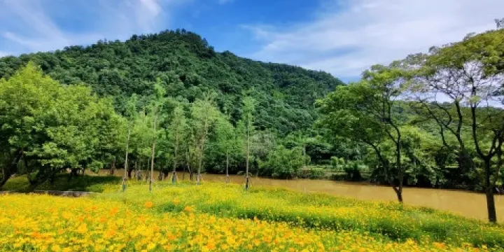 十里壽昌江灘塗公園