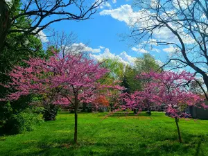 선 밸리 공원